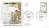 Superbe FDC FLAMANT ROSE - Flamingo's