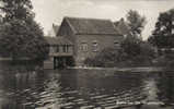 KASTERLEE - De Watermolen - Fotokaart - Uitgave Firma Netha Mol - Kasterlee