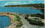 Carte Postale D'Antibes - Le Cap Et Le Phare - Cap D'Antibes - La Garoupe