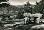 B - 63 - SAINT NECTAIRE Les BAINS - Le Dolmen - Mégalithe - Dolmen & Menhirs