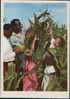 GOOD USSR PROPAGANDA POSTCARD 1963 - VIVA SOCIALISM - Friendship In The Corn Field - Missie