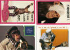 4 CARTES POSTALES HUMOURISTIQUES SUR LE THEME DES ANIMAUX DES CHINPANZES DES SINGES /MONKEYS - Affen