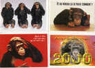 4 CARTES POSTALES HUMOURISTIQUES SUR LE THEME DES ANIMAUX DES CHIMPANZES DES SINGES /MONKEYS - Affen