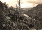 CARTE POSTALE DE LA VALLEE DE LA SEMOY - MONTHERME - VUE SUR LA SEMOY - Montherme