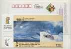 China 2006 Hubei Telecom Advertising Pre-stamped Card Polar Arctic Marine Mammal Baby Seal - Faune Arctique
