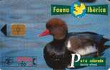 SPAIN 2000 PTAS  DUCK  BIRD  BIRDS   FAUNA IBERICA   SPECIAL PRICE !! - Basic Issues