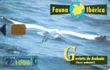 SPAIN  1000 PTAS  SEA  GULL  BIRD  BIRDS   FAUNA IBERICA   SPECIAL PRICE !! - Emisiones Básicas