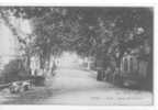 13 /*/ BOUCHES DU RHONE / ISTRES / Entrée, Avenue Porte D'Arles, Ed Servel / ANIMEE / - Istres