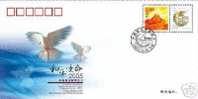 2005 CHINA SINO-RUSSIAN JOINT MILITARY EXERCISE COVER - Briefe U. Dokumente