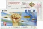 China 2006 Post Commercial Letter Advertising Pre-stamped Card Archery Arrow - Tir à L'Arc