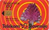 SLOVENIA -  Flower Rdeca Murka / Siol Paket - 100 Imp - 08/98 - 31.457 - Slovenia