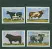 5S0098 Taureau Et Vache FAO 420 à 423 Zambie 1987 Neuf ** - Hoftiere
