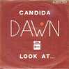 DAWN - Disco, Pop