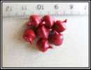 Lot De 5 Clochettes Rouges Environ 7,6x10mm - Perles