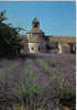 Carte Postale Abbaye De Sénanque  Le Chevet De L'église Abbatiale - Gordes