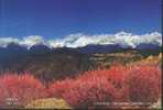 China(Chine) Peak - Meili Snow Mountain's Peaks, Mt.Kawagebo(6740M), Mt.Miancimu(6054M), Etc. - A - Autres & Non Classés