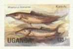 UGANDA 1985, Elephant-snout Fish 135s, IIMEPRF.PAIR  [non Dentelé,geschnitten,no Dentado,non Dentellato,ongetande] - Uganda (1962-...)