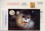 China 2000 Rare Wildlife Animal Pre-stamped Card Yunnan Snub-nosed Monkey - Scimmie