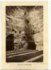 - FRANCE . "UNE CAVE A CHAMPAGNE"(MAISON RUINART PERE ET FILS) . REPRO DE PHOTO DES ANNEES 1930 - Other & Unclassified