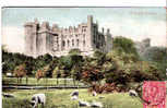 CPA - ARUNDEL CASTLE - ANIMEE - MOUTONS - Arundel