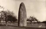 Pierre Du Champ Dolent à Voir  Monument Druidique - Dol De Bretagne