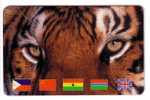 Prepaid Card - Wild Animals - Jungle - Tigers - Tigre - Tigresse - Tiger - Jungle