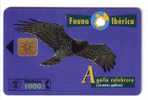 CIRCAETUS G. ( Spain Fauna Iberica )*** Eagle - Aigle - Adler - Aguila - Aquila * Birds Of Pray - Raptors Bird - Vulture - Basisuitgaven
