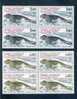 French Southern & Antarctic Territories 1984 Seals Blk Of 4 MNH - Other & Unclassified