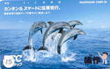 DOLFIJN Dolphin Op Telefoonkaart (15) - Delfini