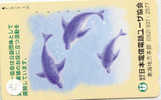 DOLFIJN Dolphin Op Telefoonkaart (31) - Dolfijnen