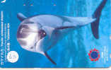 DOLFIJN Dolphin Op Telefoonkaart (63) - Dauphins