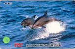 Telecarte DAUPHIN Dolphin DOLFIJN Delphin (118) - Fische