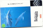 Telecarte DAUPHIN Dolphin DOLFIJN Delphin (122) - Fische