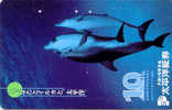 Telecarte DAUPHIN Dolphin DOLFIJN Delphin (124) - Fische