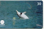 Telecarte DAUPHIN Dolphin DOLFIJN Delphin (132) - Pesci