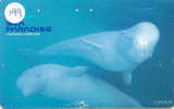 Telecarte DAUPHIN Dolphin DOLFIJN Delphin (199) - Peces