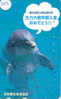 Telecarte DAUPHIN Dolphin DOLFIJN Delphin (203) - Peces