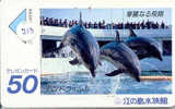 Telecarte DAUPHIN Dolphin DOLFIJN Delphin (213) - Fish