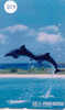 Telecarte DAUPHIN Dolphin DOLFIJN Delphin (227) - Vissen
