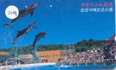 Telecarte DAUPHIN Dolphin DOLFIJN Delphin (229) - Pesci