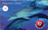 Telecarte DAUPHIN Dolphin DOLFIJN Delphin (240) - Fische