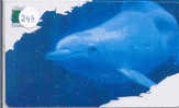 Telecarte DAUPHIN Dolphin DOLFIJN Delphin (243) - Poissons