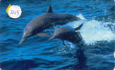 Telecarte DAUPHIN Dolphin DOLFIJN Delphin (245) - Fische