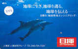 Telecarte DAUPHIN Dolphin DOLFIJN Delphin (246) - Fische