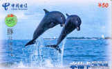 Telecarte DAUPHIN Dolphin DOLFIJN Delphin (255) - Fische