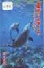 Telecarte DAUPHIN Dolphin DOLFIJN Delphin (275) - Fische