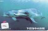 Telecarte DAUPHIN Dolphin DOLFIJN Delphin (290) - Delfini