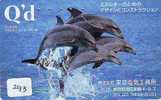 Telecarte DAUPHIN Dolphin DOLFIJN Delphin (293) - Fische