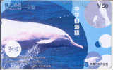 Telecarte DAUPHIN Dolphin DOLFIJN Delphin (305) - Dolphins