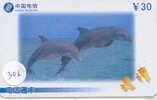 Telecarte DAUPHIN Dolphin DOLFIJN Delphin (306) - Dolphins